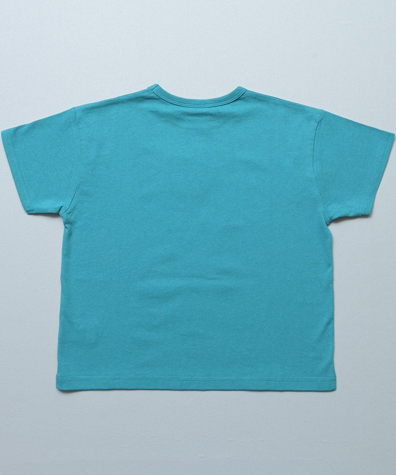 000000011088-39.jpg?size=l&w=