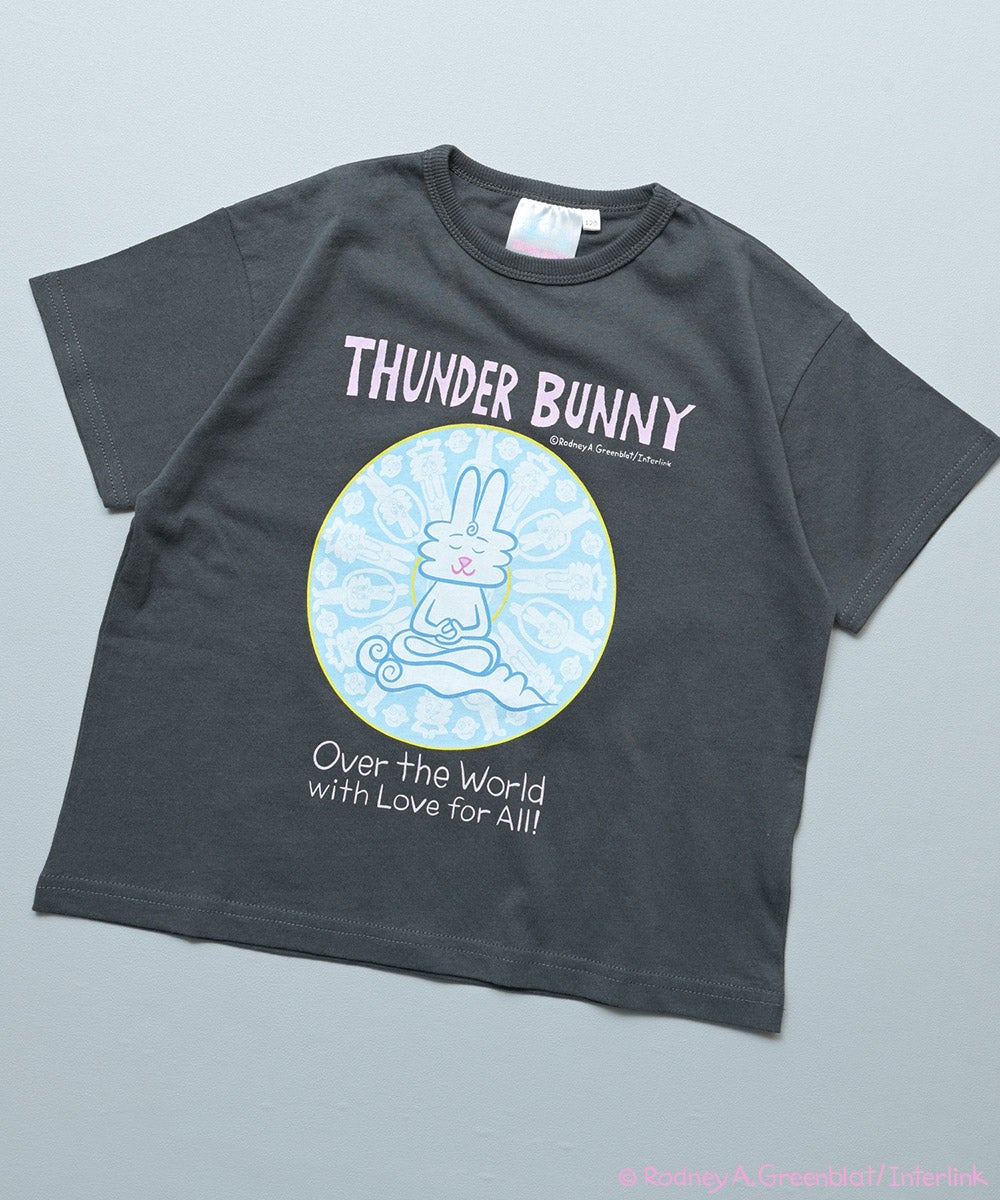 THUNDER BUNNY : サンダーバニーのふわふわブック Thunder Bunny サンダーバニー | RodneyFun.com ロドニー・グリーン